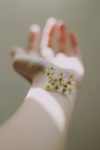 flowers balancing on an arm